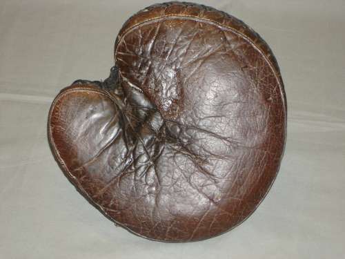 D&M Catchers Mitt Front